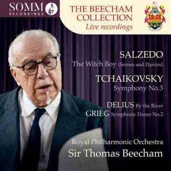 CD The Royal Philharmonic Orchestra: Beecham Collection - Salzedo: Witch Boy: Tchaikovs