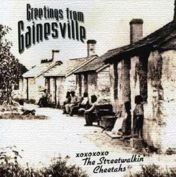 CD The Streetwalkin' Cheetahs: Greetings From Gainsvil