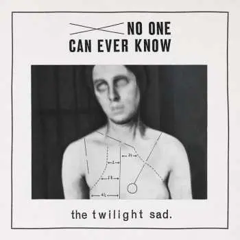 CD The Twilight Sad: No One Can Ever Know