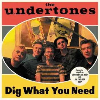 LP The Undertones: Dig What You Need