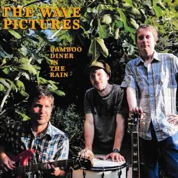 CD The Wave Pictures: Bamboo Diner In The Rain