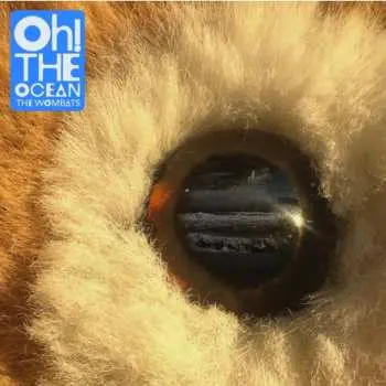LP The Wombats: Oh! The Ocean CLR | LTD