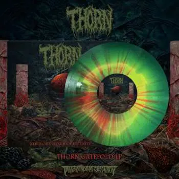 LP Thorn: Nebulous Womb Of Eternity CLR | LTD | NUM