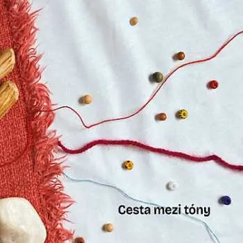 CD Tichý Ondřej A Hosté: Cesta Mezi Tóny