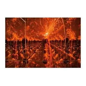 LP Tim Kinsella: Firecracker In A Box Of Mirrors CLR | LTD