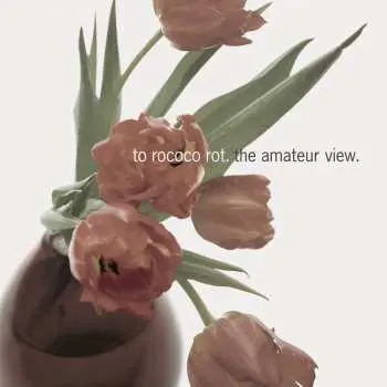 2LP/CD To Rococo Rot: The Amateur View DLX | LTD | NUM