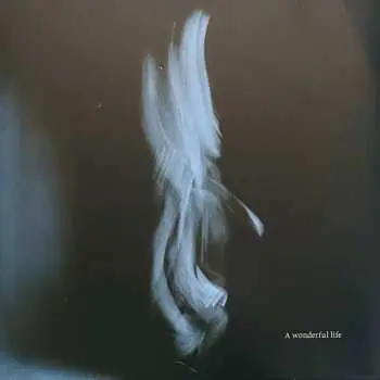 LP Tom Odell: A Wonderful Life