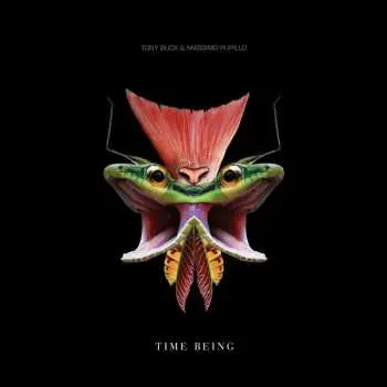 LP Tony Buck: Time Being