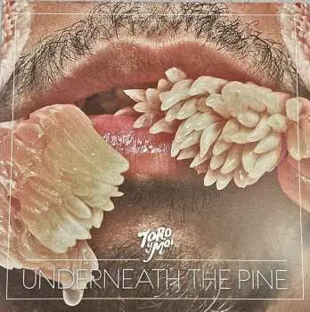 LP Toro Y Moi: Underneath The Pine LTD | CLR
