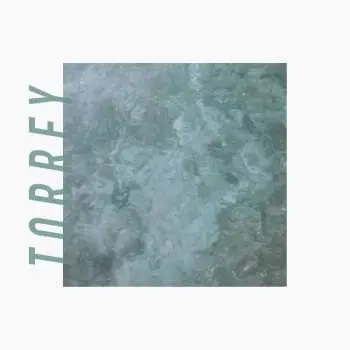 CD Torrey: Torrey