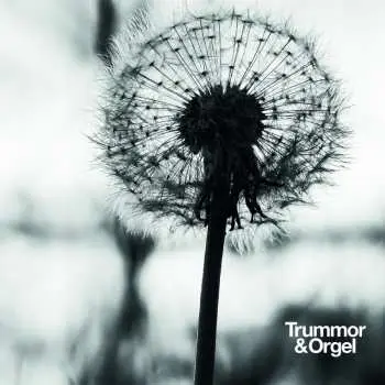 LP Trummor & Orgel: Graceful Degradation / New Beginning