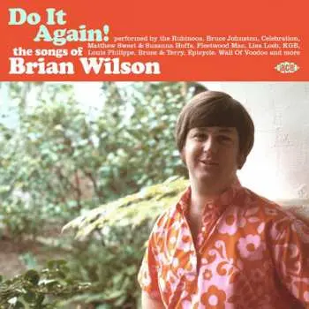 CD Various: Do It Again! The Songs Of Brian Wilson