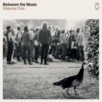2CD Various: End Of The Road: Between The Music Volume One