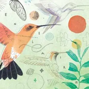 CD Various: Polen 10 Anos - En El..