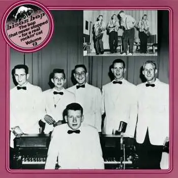 LP Various: Vol.13,bop That Never Stopped