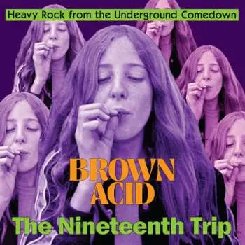 LP Various: Brown Acid: The Nineteenth Trip (Heavy Rock From The Underground Comedown)