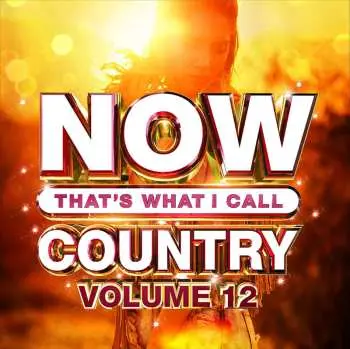 CD Various: Now That's What I Call Country Volume 12