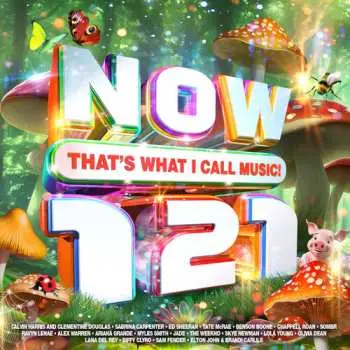 2CD Various: Now That's What I Call Music 121
