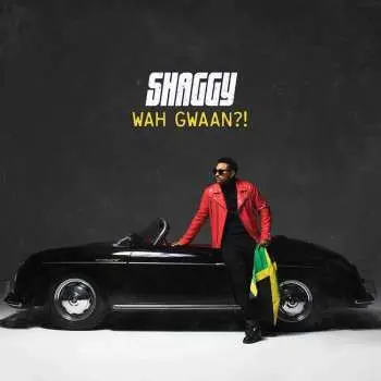 CD Shaggy: Wah Gwaan?!