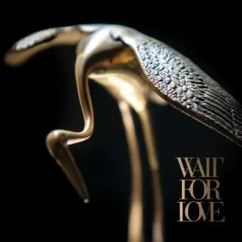 LP Pianos Become The Teeth: Wait For Love CLR | LTD