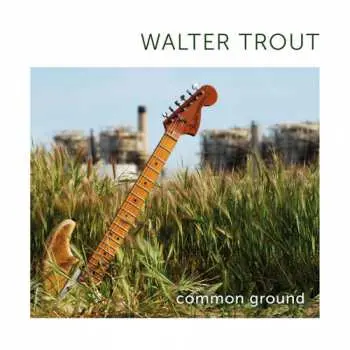 CD Walter Trout: Common Ground