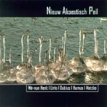 CD Wè-Nun Henk: Nieuw Akoestisch Peil