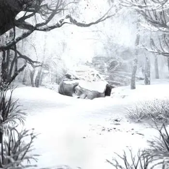LP Weezer: SZNZ: Winter CLR | LTD