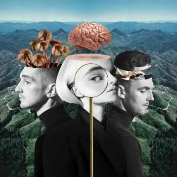 CD Clean Bandit: What Is Love?