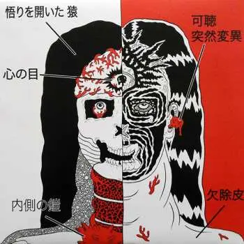 LP White Hills: To Find The Secret Door / Fade LTD | CLR