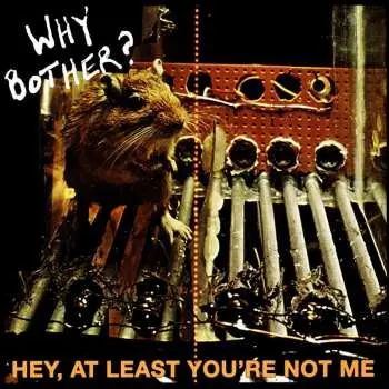 LP Why Bother?: Hey, At Least You're Not Me