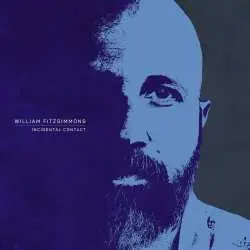 LP William Fitzsimmons: Incidental Contact (transparent Blue Vinyl Lp)