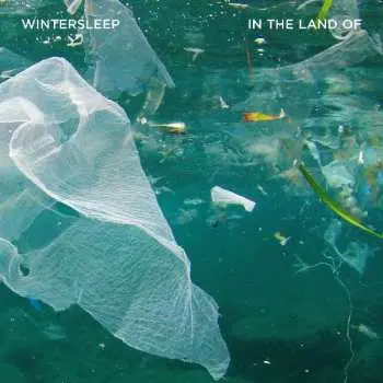 CD Wintersleep: In The Land Of