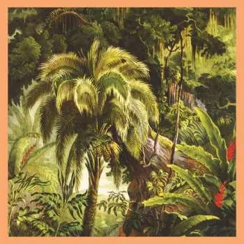 LP Xiu Xiu: La Forêt (sunset Swirl Vinyl)