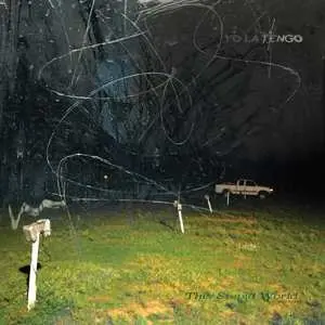 2LP Yo La Tengo: This Stupid World LTD | CLR