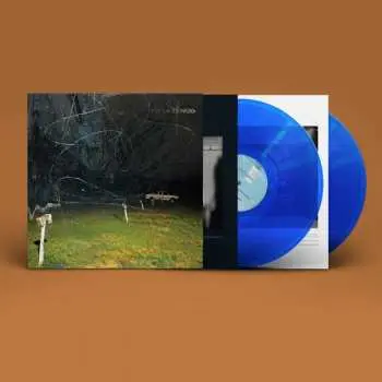 2LP Yo La Tengo: This Stupid World CLR | LTD