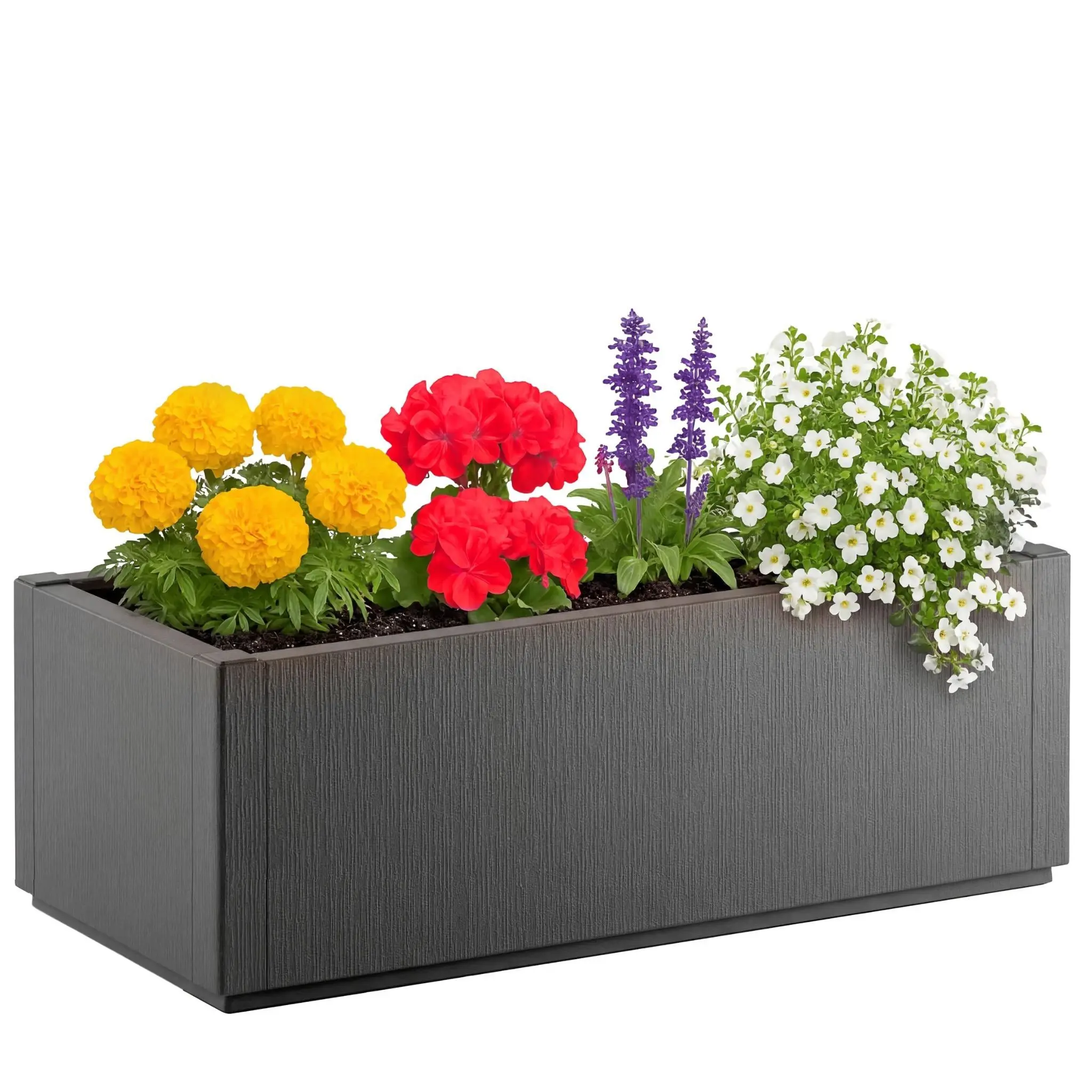 DB Garden Květináč Kelly 80 L antracitový