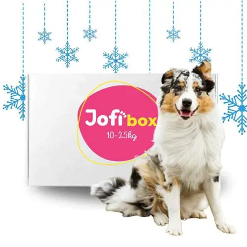 Jofi Box pro střední psy: 10-25 kg, VÁNOCE