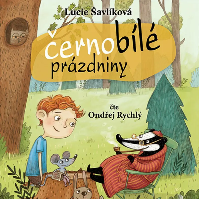 Černobílé prázdniny (audiokniha - čte Ondřej Rychlý) - Lucie Šavlíková