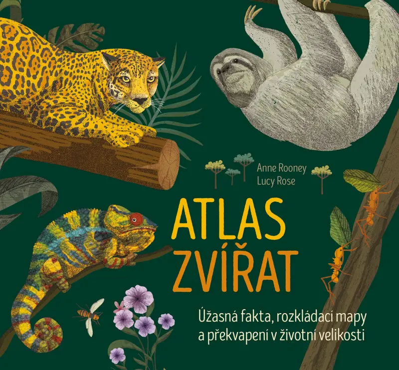 ᴀtlas zvířat - Anne Rooney, Lucy Rose (ilustrátor)