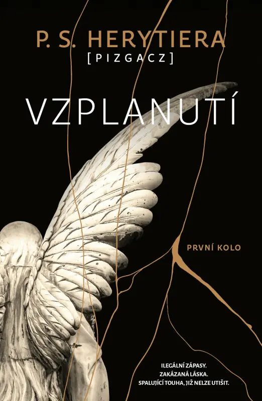 Vzplanutí První kolo