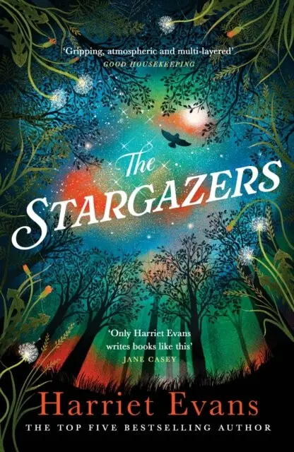 The Stargazers (A captivating, magical love story with a breathtaking twist),The Stargazers (A captivating, magical love story with a breathtaking twi