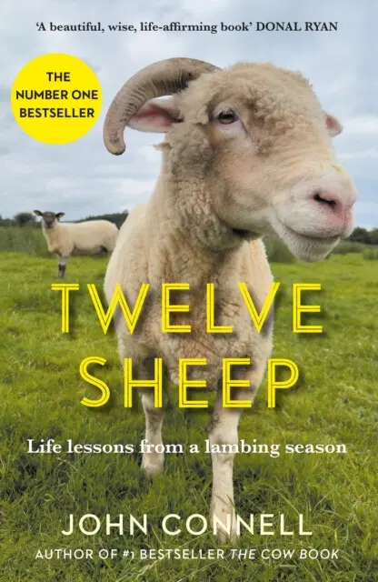 Twelve Sheep (Life lessons from a lambing season) - John Connell,Twelve Sheep (Life lessons from a lambing season) - John Connell - kniha z kategorie