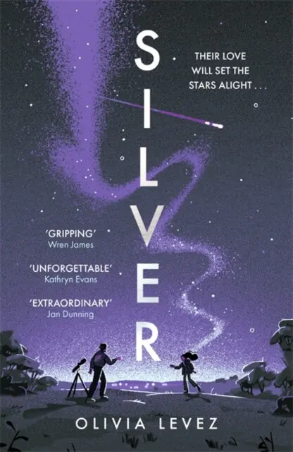 Silver - Olivia Levez,Silver - Olivia Levez - kniha z kategorie Beletria