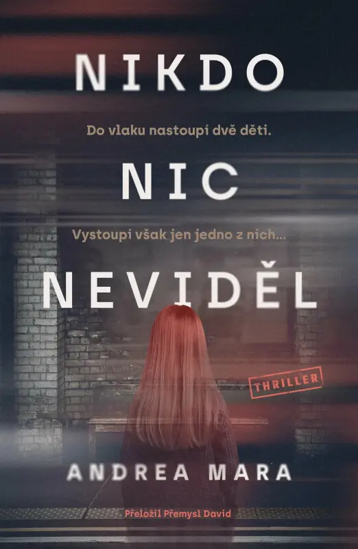 Nikdo nic neviděl (Do vlaku nastoupí dvě děti. Vystoupí však jen jedno z nich...) - kniha z kategorie Detektívky