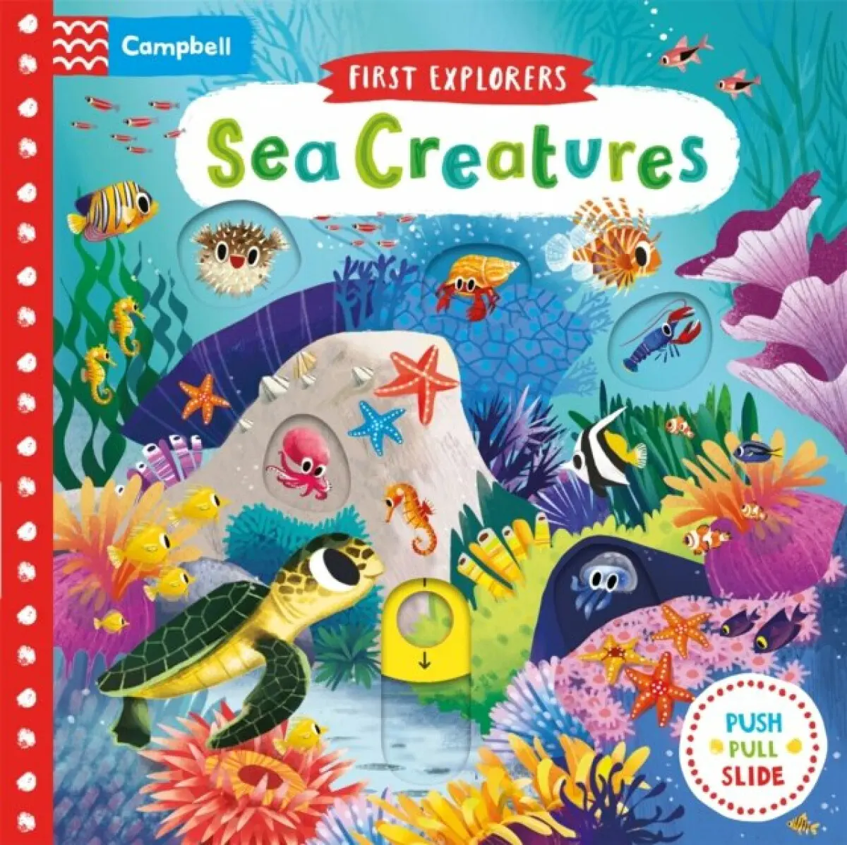Brilliant Bugs - Campbell Books
