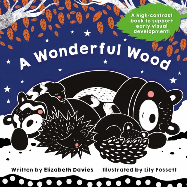 A Wonderful Wood: A Black-and-White High-Contrast Storybook for Newborns and Children aged 0-5 - Kennedy Publishing