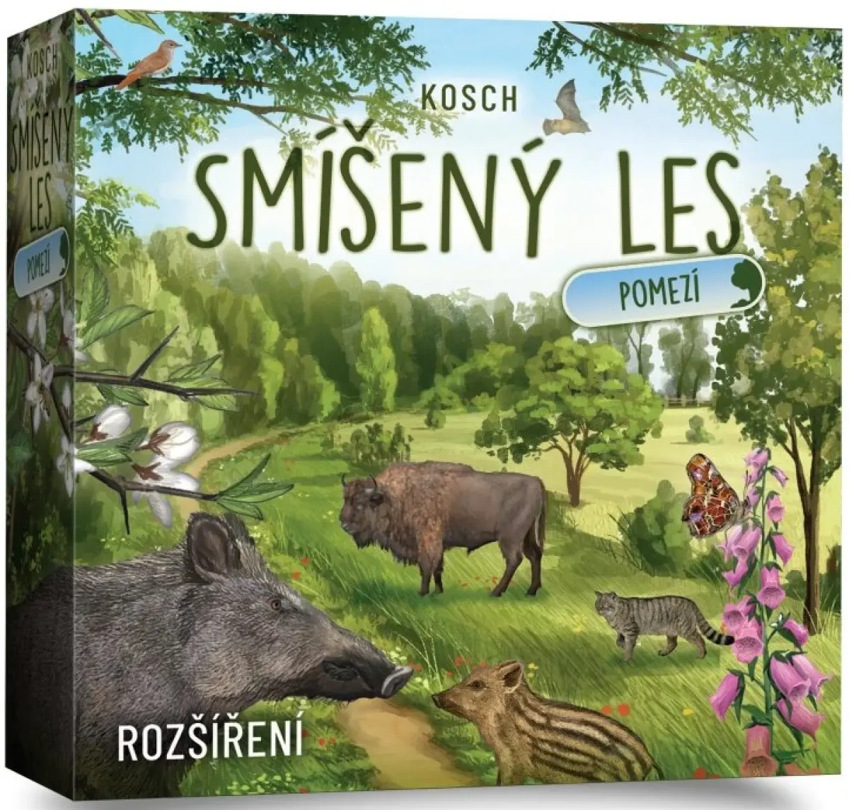 Smíšený les: Pomezí