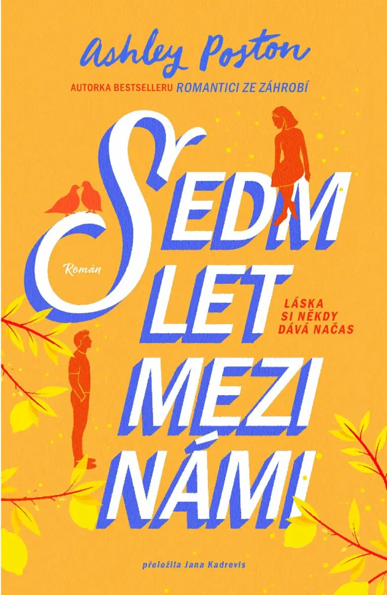 Sedm let mezi námi - Ashley Poston