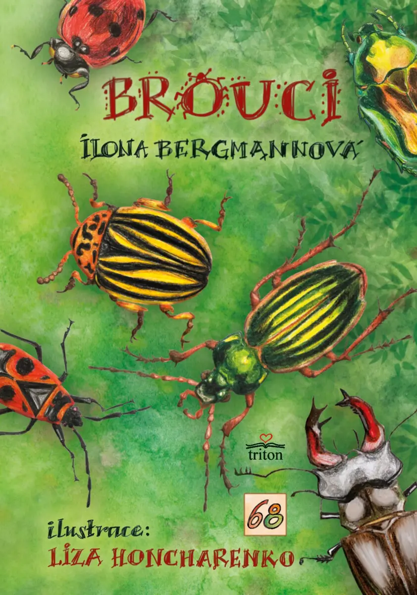 Brouci