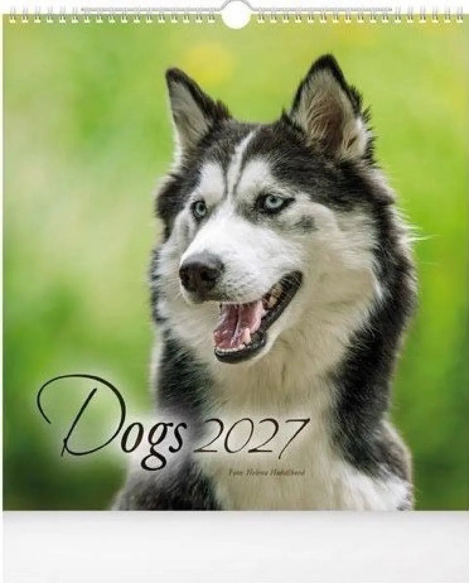 Kalendář 2027 nástěnný malý - Psi